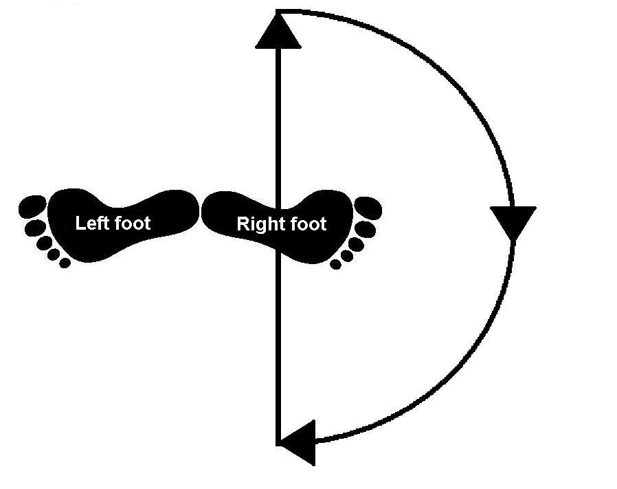 ÍCONE DA DANÇA O que é "en dehors" e "en dedans"?