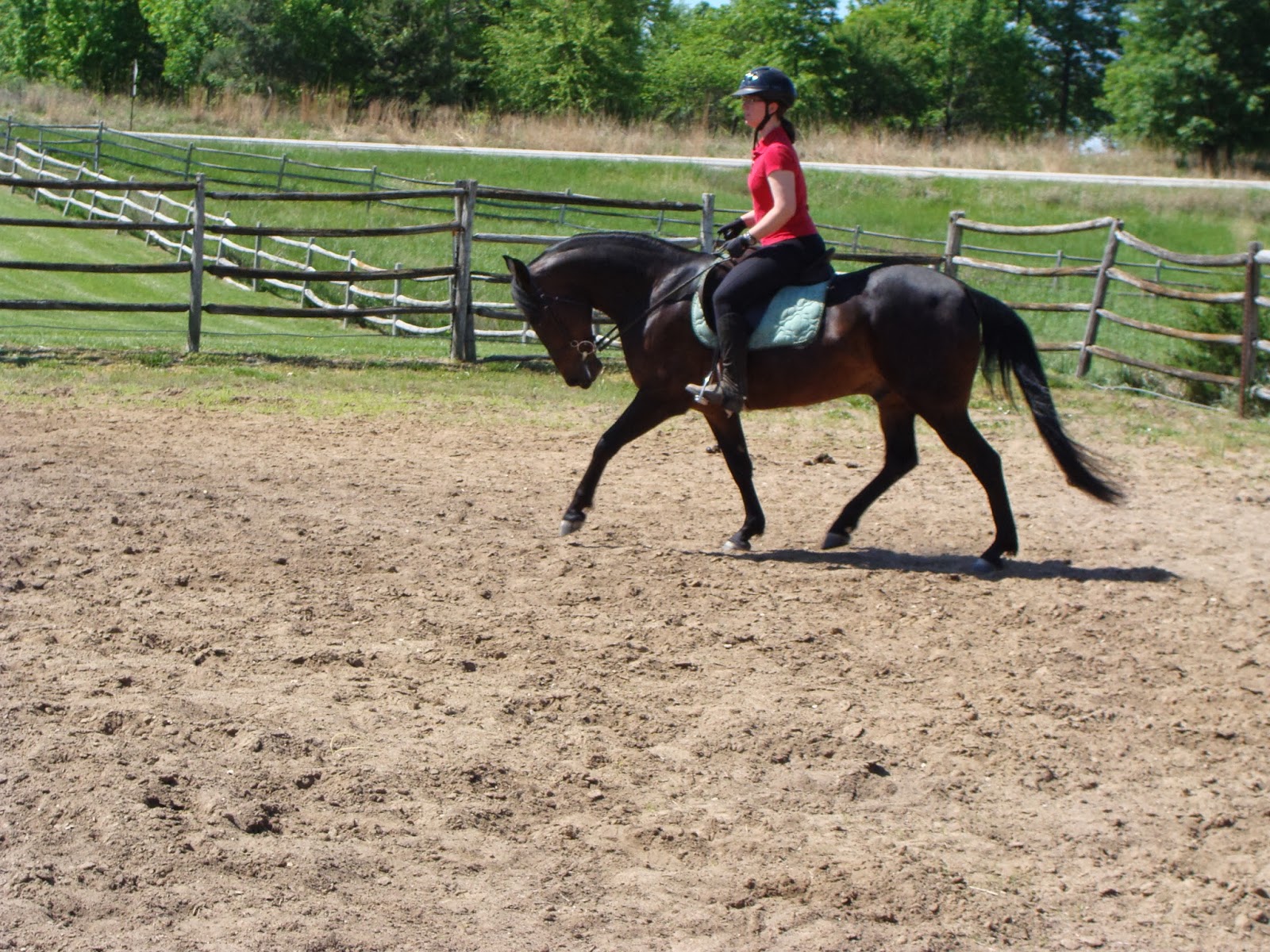 Shipman Training LLC