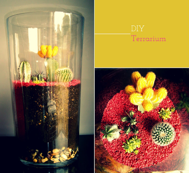 Sugar and Dinosaurs DIY3 Un terrarium de cactus