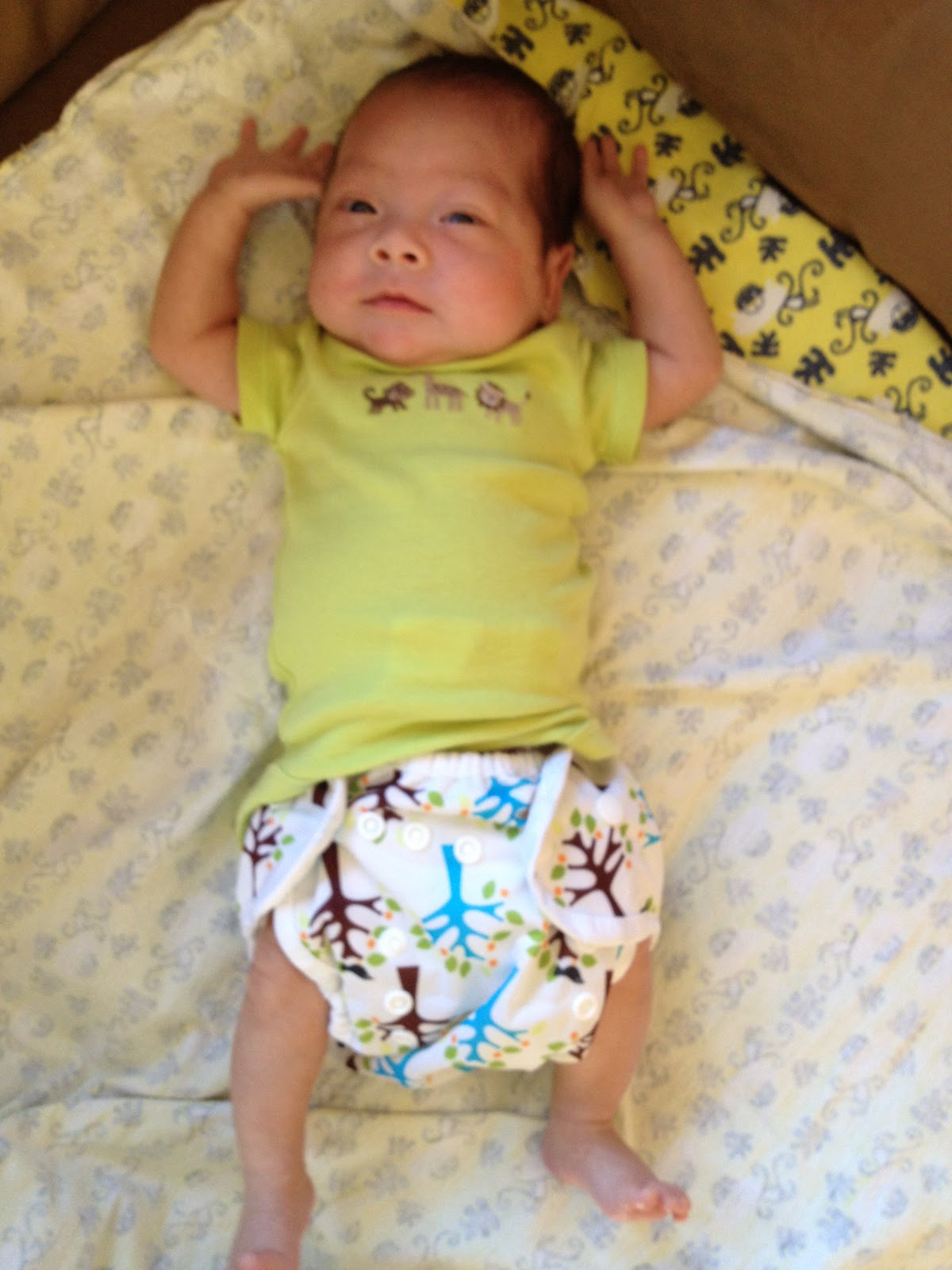 Keeping Up with The Twins Update from the home front