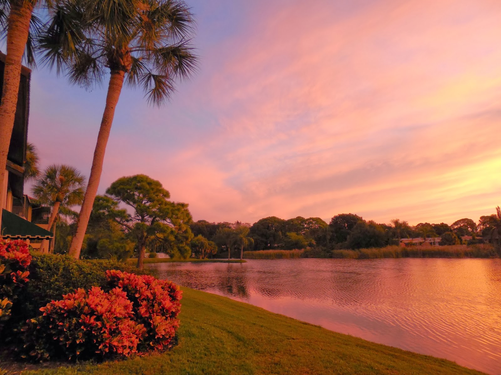 Baebaeles auf Reisen: Good Morning FLORIDA