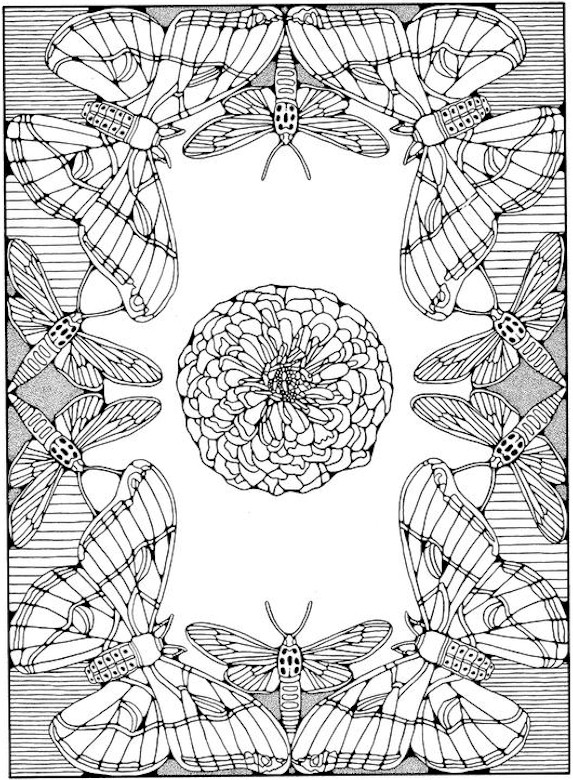 Adult Colouring Pages Free to Download