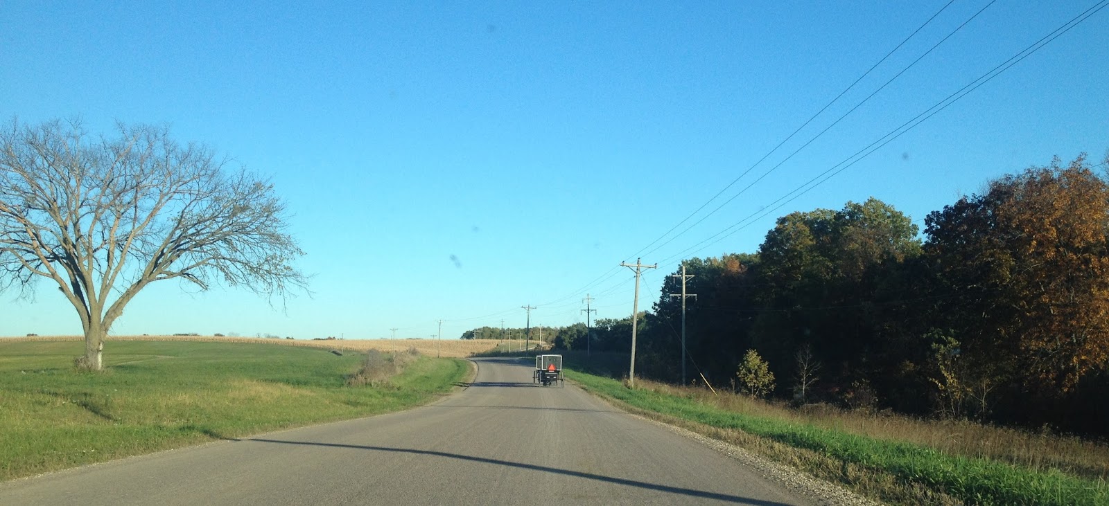 Amish Horses Amish Tour of Wisconsin