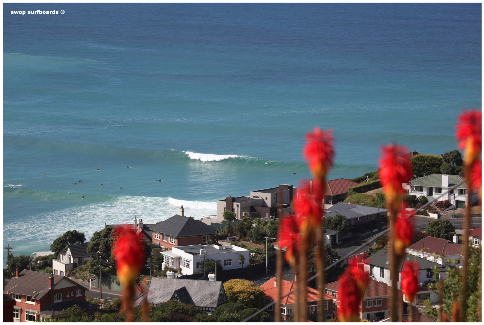 swop surfboards NEW ZEALAND 2/2 SOUTH ISLAND