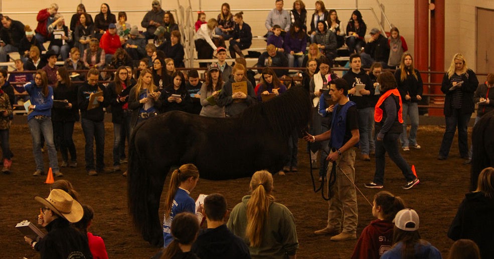 The Horsemeister Blog 2018 Illinois Horse Fair SATURDAY