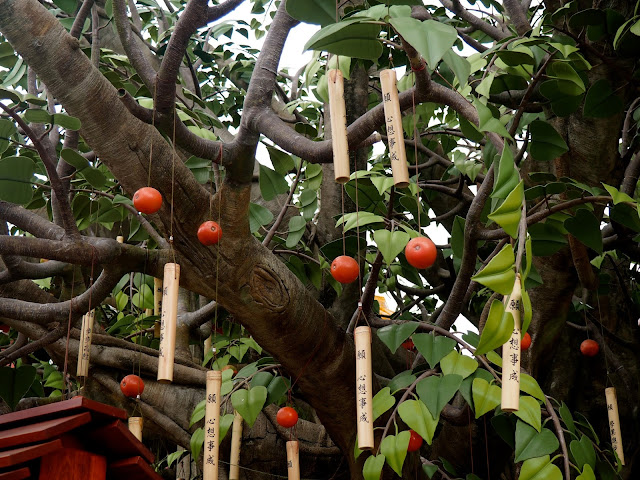 Chinese ornaments hanging in a tree in Ngong Ping village, Lantau Island, Hong Kong