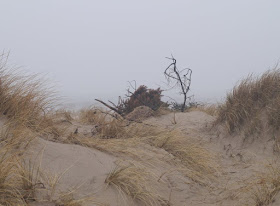 Wunderbarer Nebel am Strand von Houvig. Die Dünenlandschaft von Houvig auf dem Weg zum Meer verschwamm im Nebel.