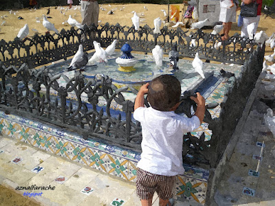 Sevilla - Plaza de América - Plaza de las Palomas