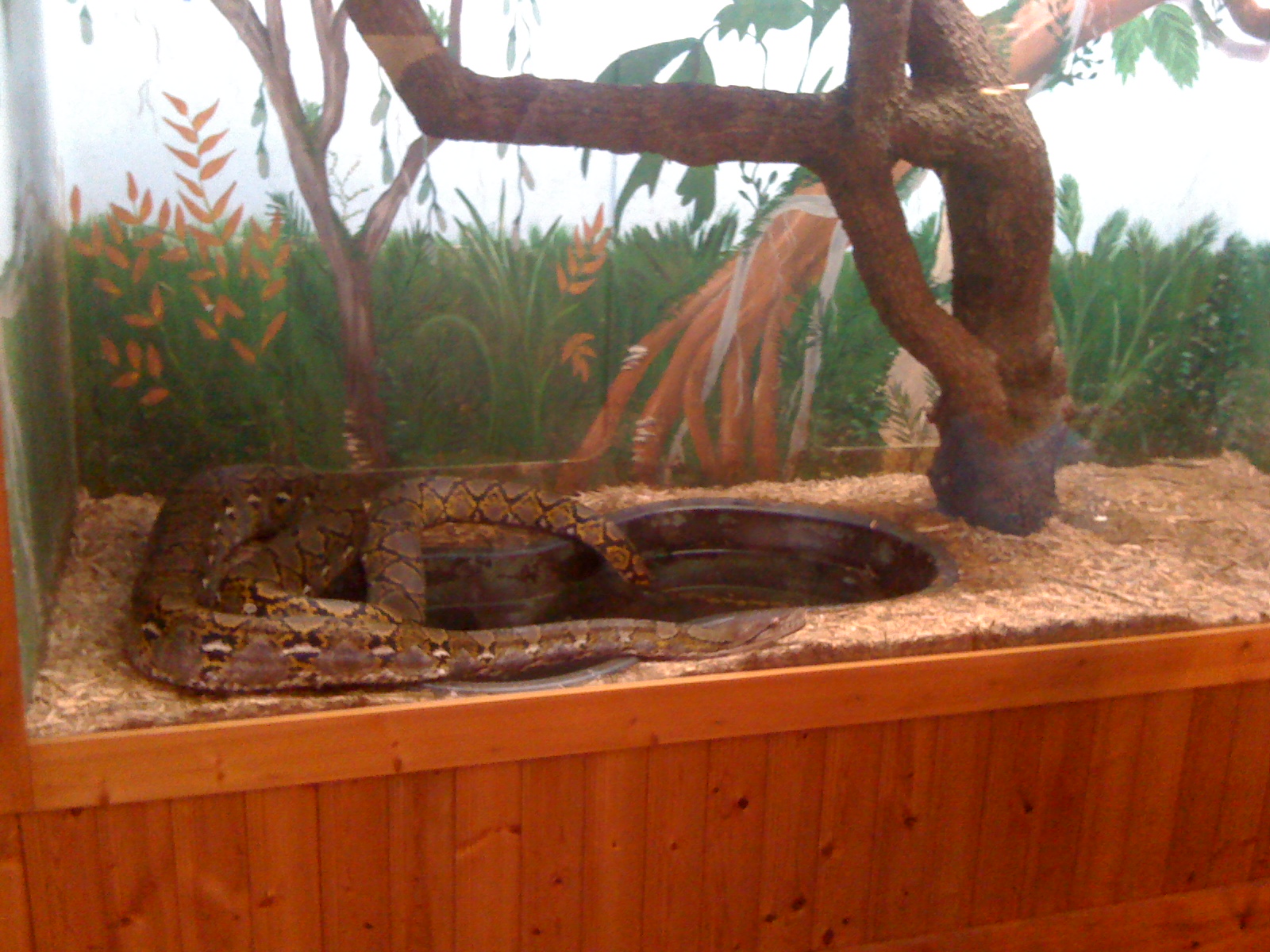 Edisto Island Fun (Pictures) Tidbits Of Experience