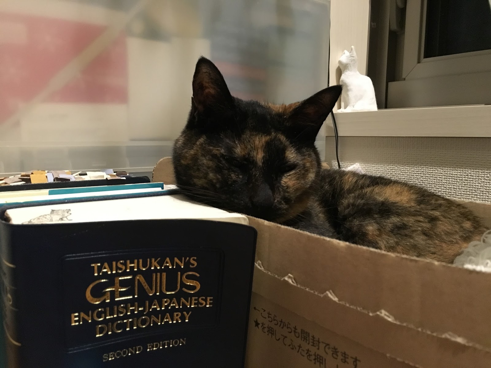 Alfie the Doorstep Cat (日本語版：通い猫アルフィーの奇跡) サビ猫 μ log