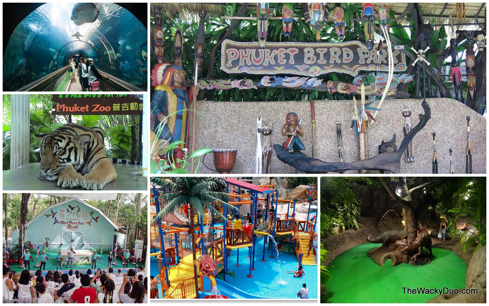 Phuket For Kids Top 12 activities for kids