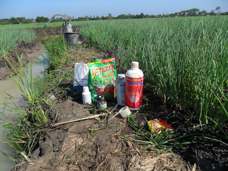 dampak penggunaan pestisida kimia