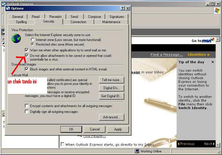 Start message id. Start message id