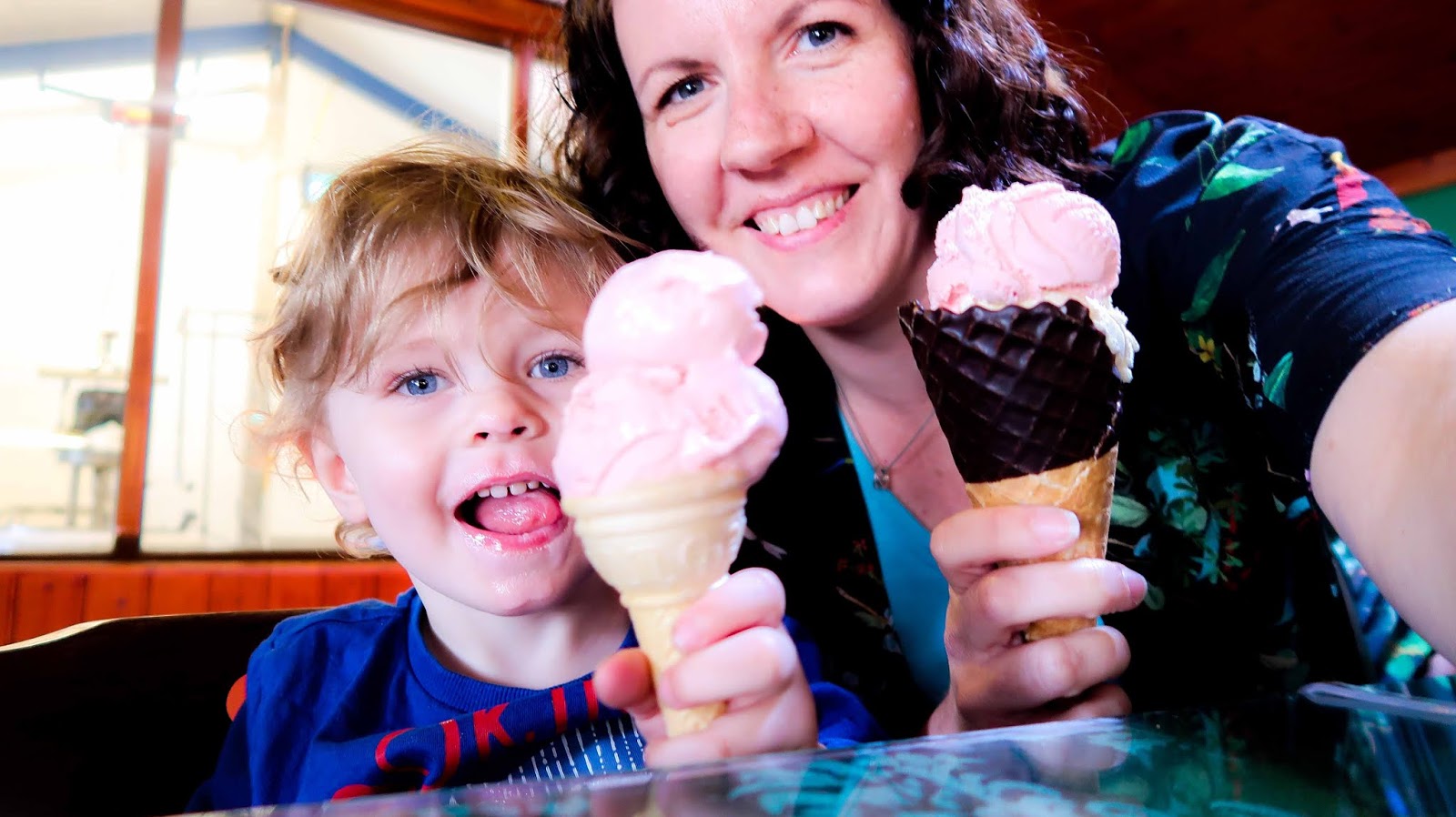 Home Family Life Family Day Out Play Area at Tong Garden