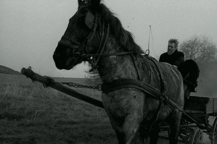 The turin horse