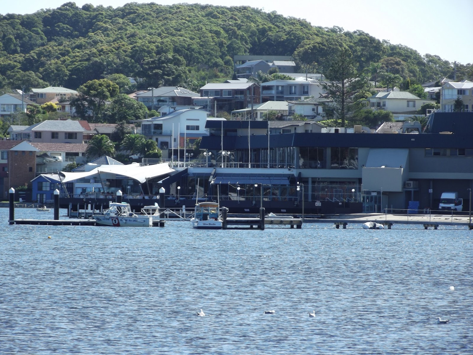 Principle Traveler 16ft Sailing Club Belmont NSW Australia
