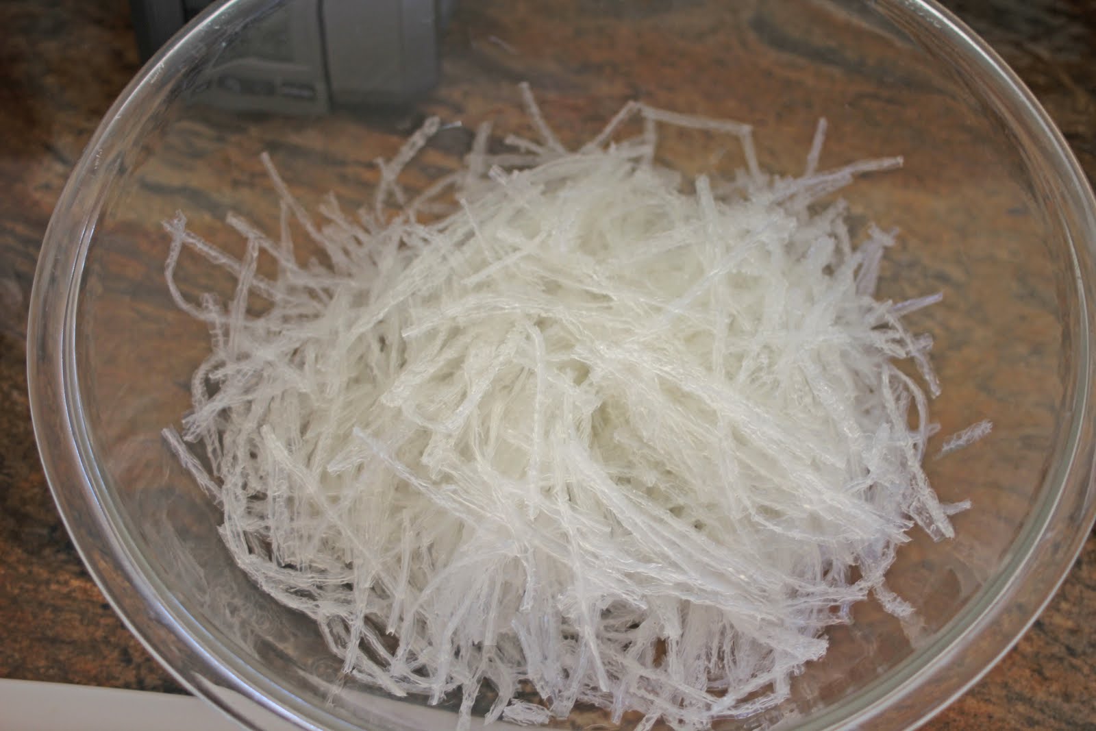 The Grub Files Cooking with Camissonia AgarAgar Salad with Chicken