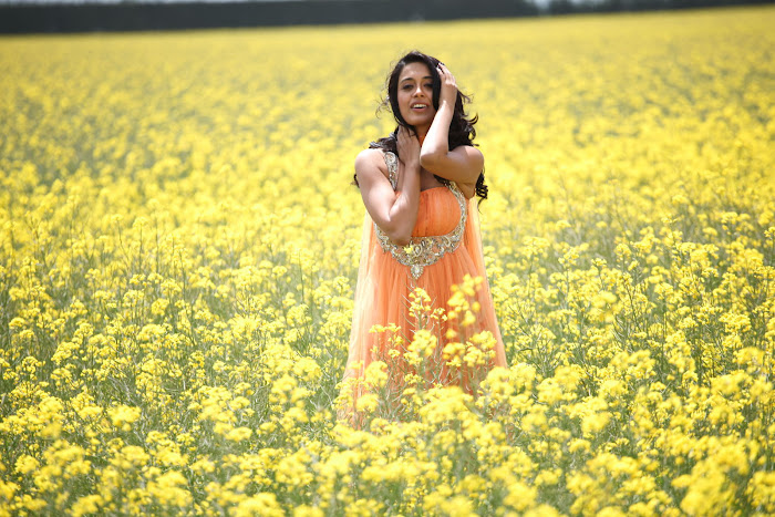 sarah jane dias spicy hq unseen pics