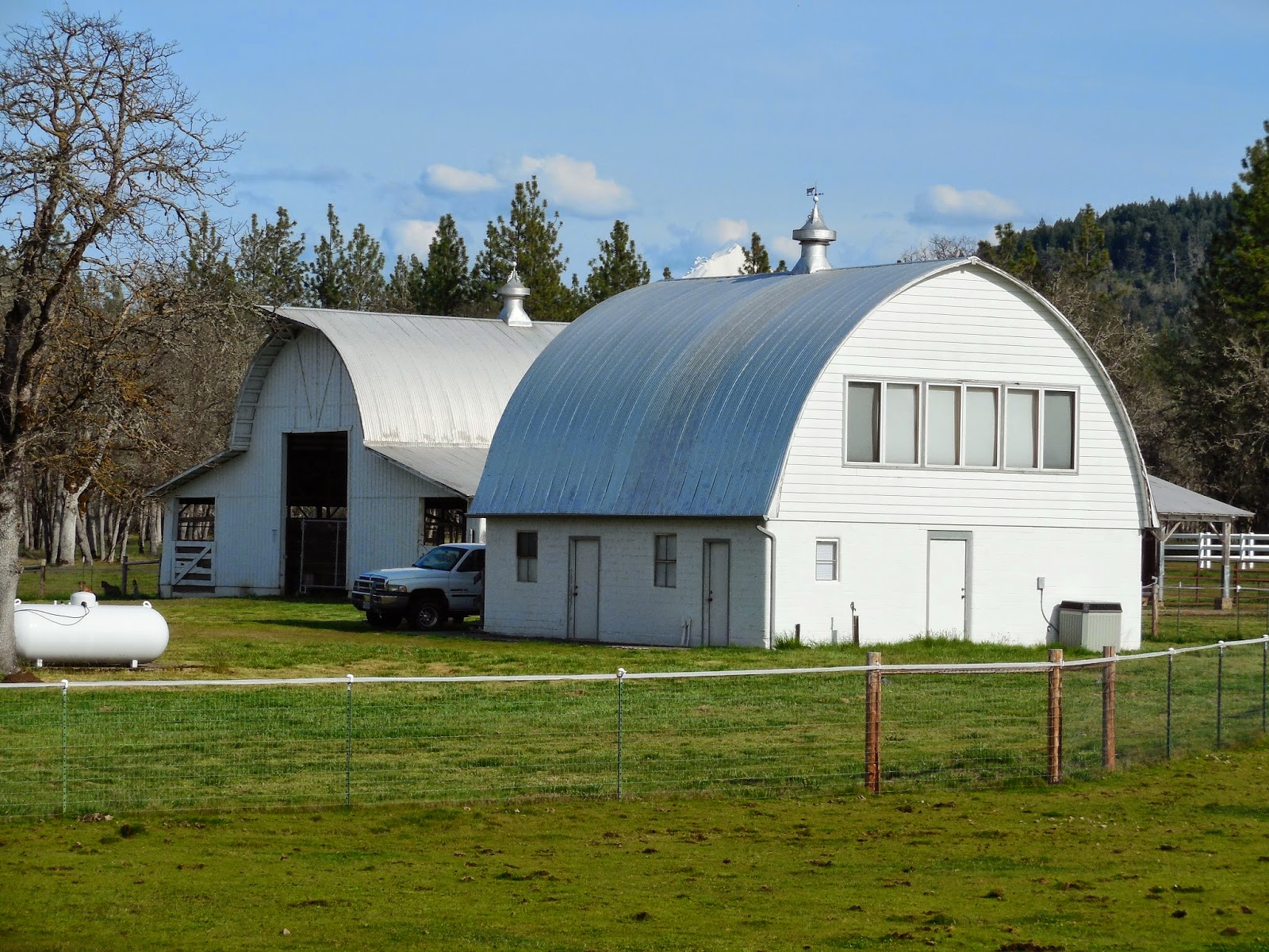 Xlentcrap "B" for Butte Falls