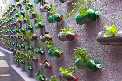 Small Plants In Bottles Hanging On Wall