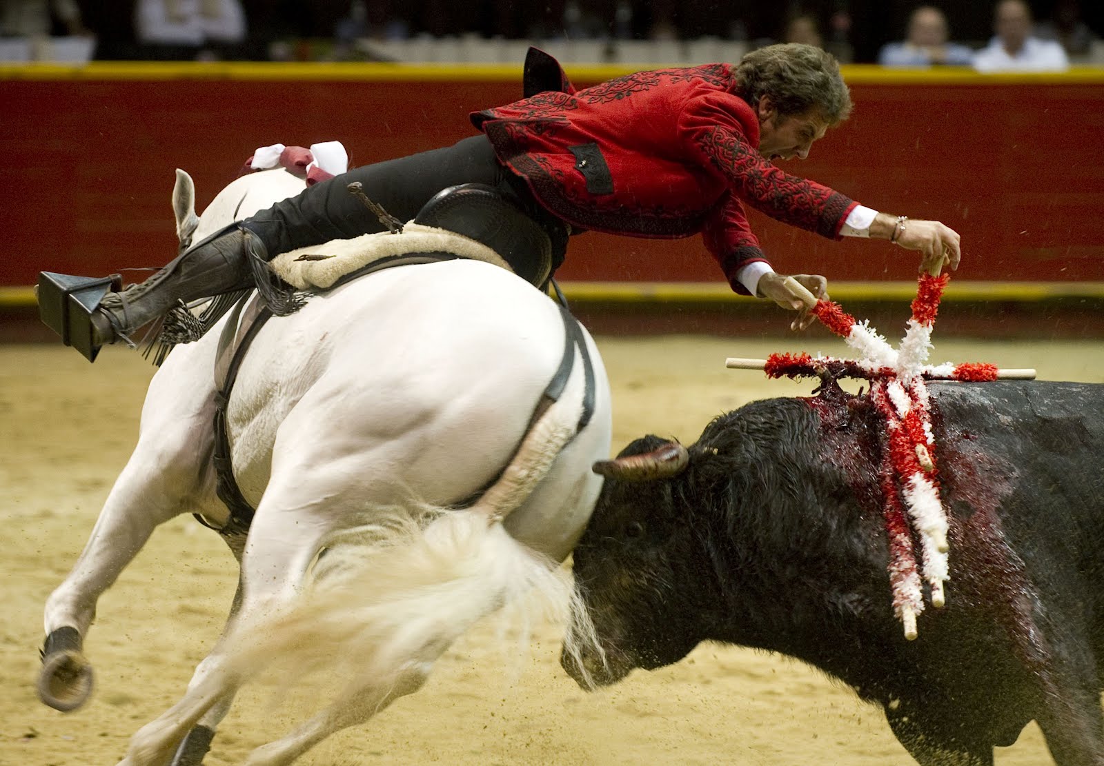 Toreo Fascinante PABLO HERMOSO DE MENDOZA