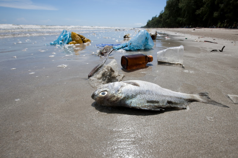 Inquinamento marino, riciclare non basta