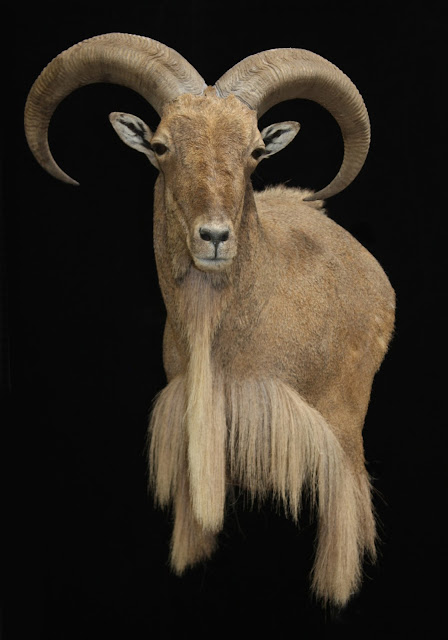 bsmithaoudad.jpg