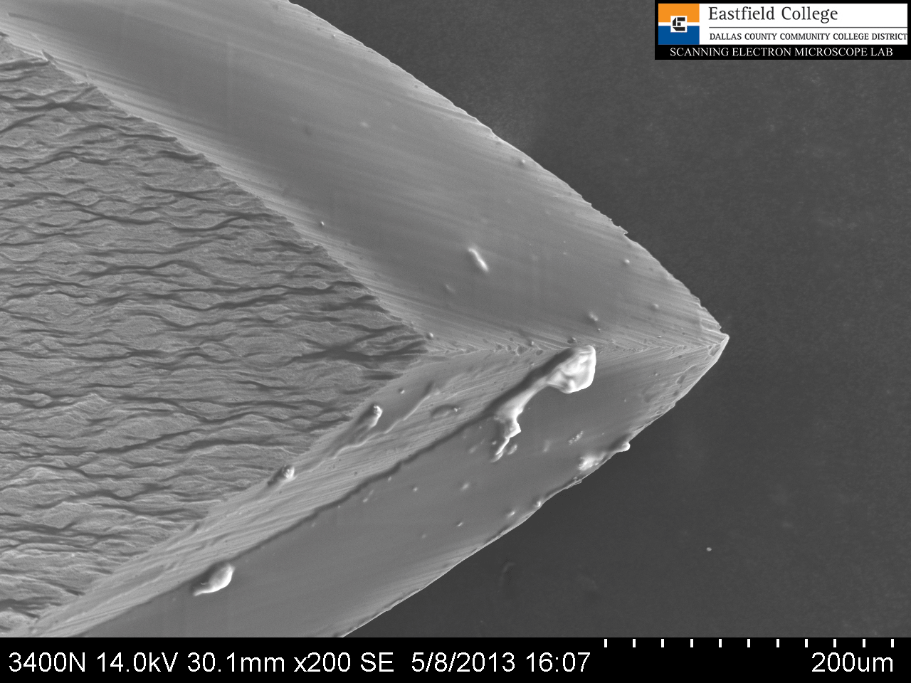 Scanning Electron Microscope Blog How Sharp is a Hypodermic Needle?