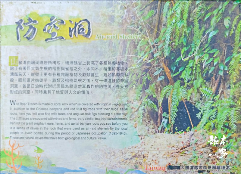 小琉球山豬溝生態步道-彷如阿凡達中身處潘朵拉星上的納美人禁地