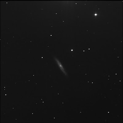 luminance frame of the NGC 3877 galaxy