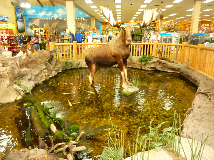 Cabela's A Taxidermy Wonderland Free Fun in Austin