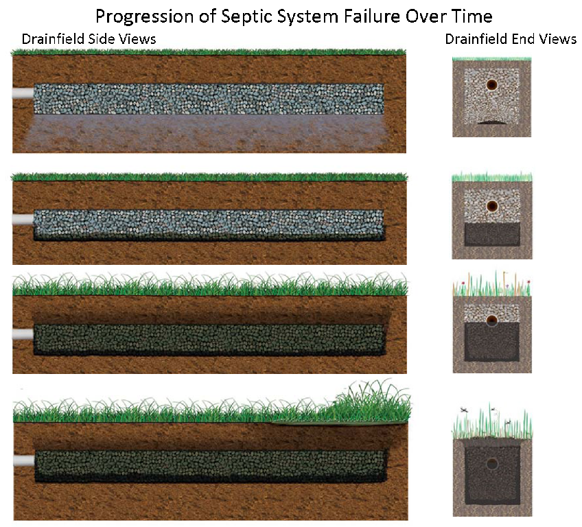 HuronKinloss Community Septic Inspections BIOMAT EXPLAINED