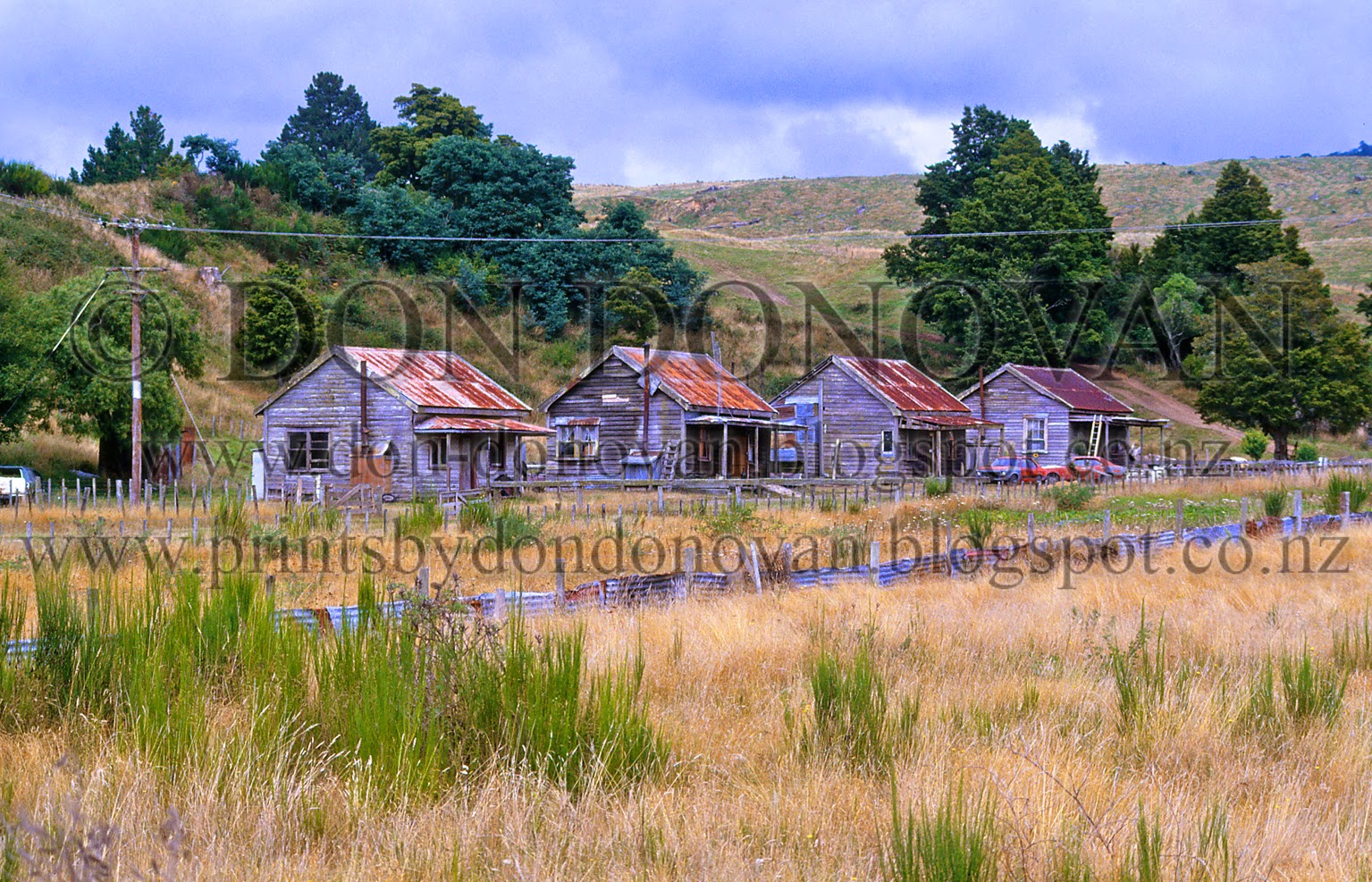 Don Donovan's World Photoprint for Sale Row Of Run Down Timber Mill