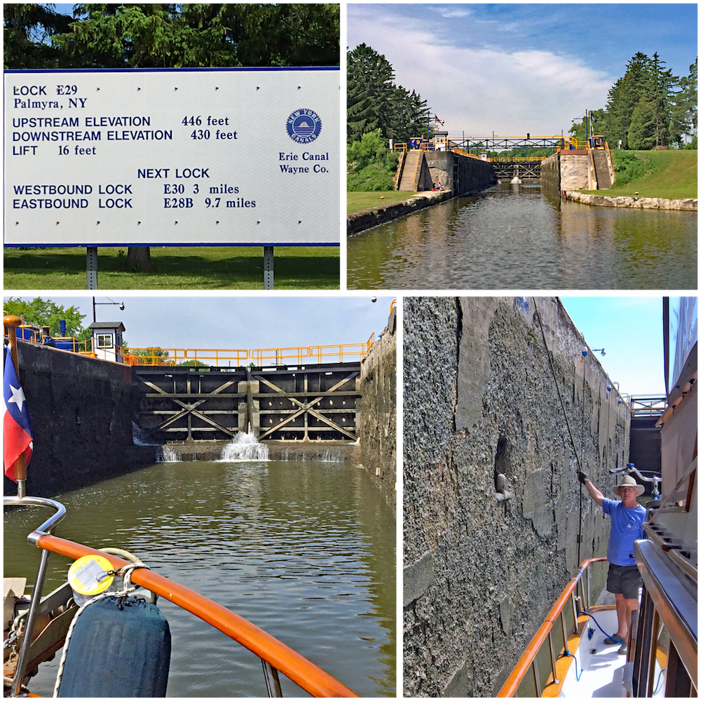 Life in the Slow Lane (The Pearl) June 10 Fairport, NY