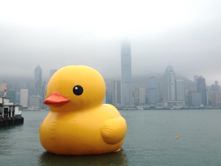 エキスパートバック 1910年製 アイボリーフィニッシュ marz.jp