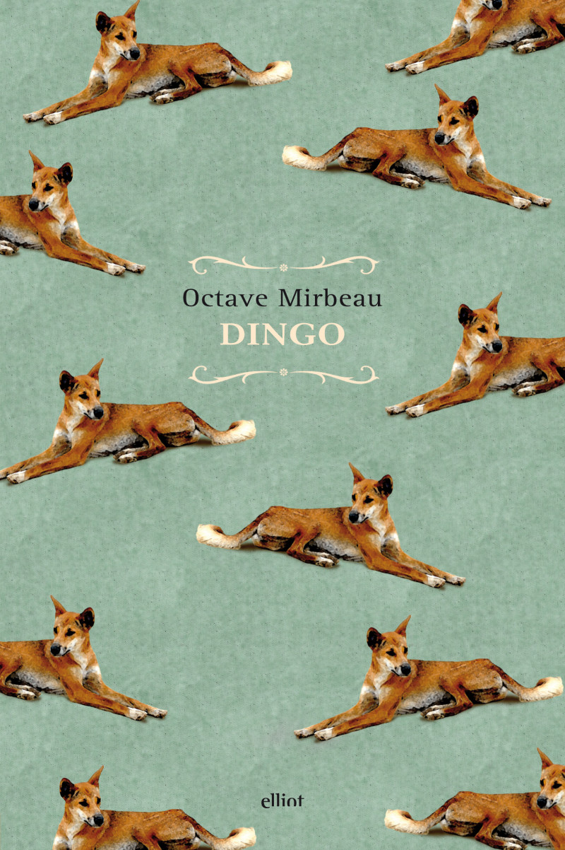 Traduction italienne de "Dingo", février 2017