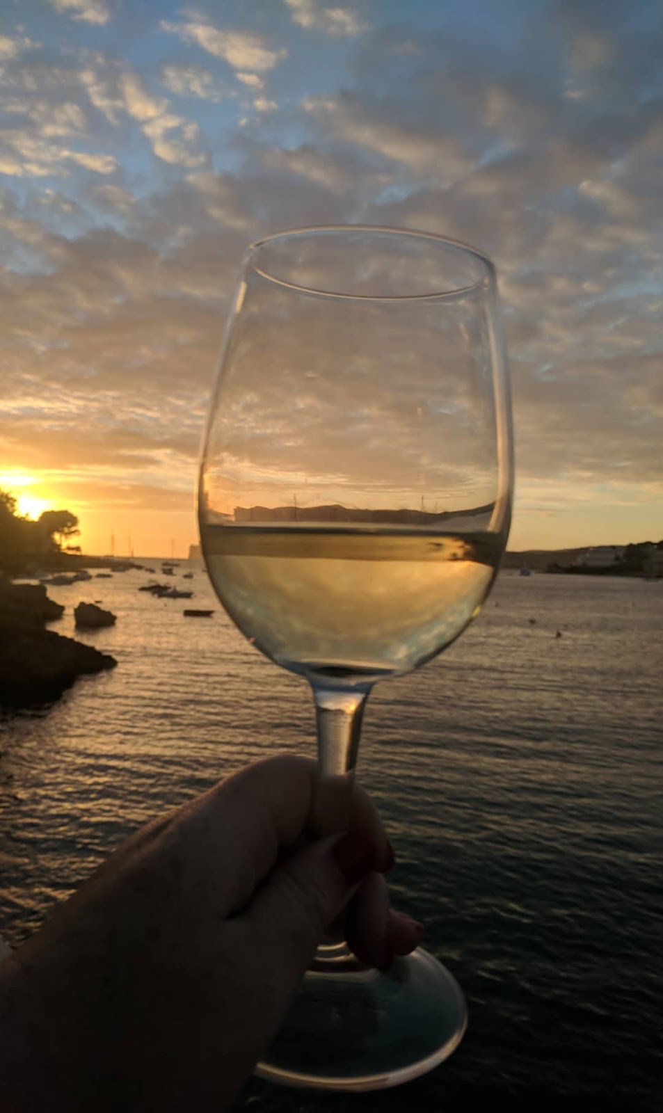 3 of our favourite child-friendly restaurants in Santa Ponsa  - meson del mar wine and sunset