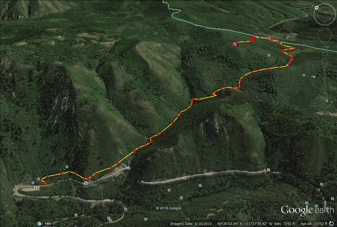 Hiking the Pine Hollow Trail Girl on a Hike