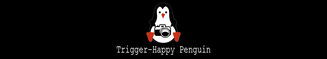 The Trigger-Happy Penguin