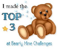 Bearly Mine Challenges