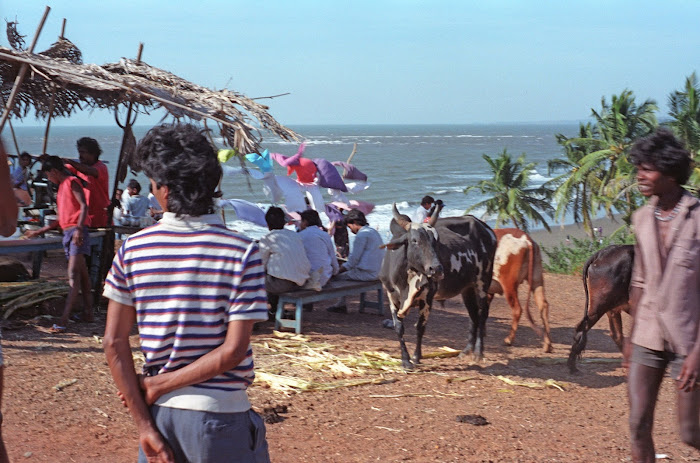 Goa, Vagator Beach, © L. Gigout, 1990