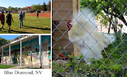sanctuary bird bend friends around escarpment nca canyon rock