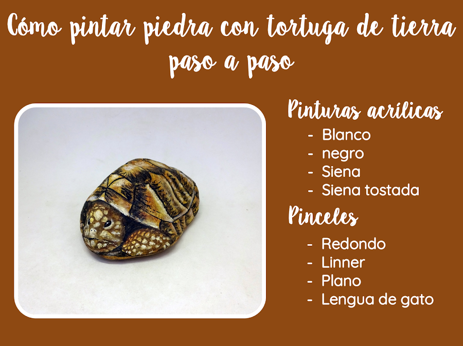 COMO PINTAR PIEDRAS CON TORTUGA DE TIERRA PASO A PASO