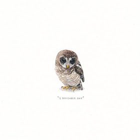 11-Sweet-Owl-Lorraine-Loots-Tiny-Art-www-designstack-co