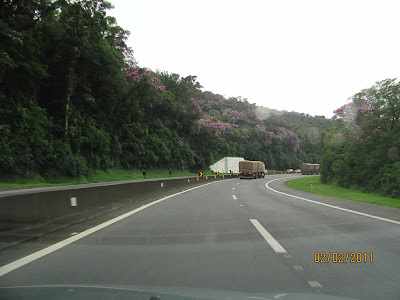 ecovia curitiba