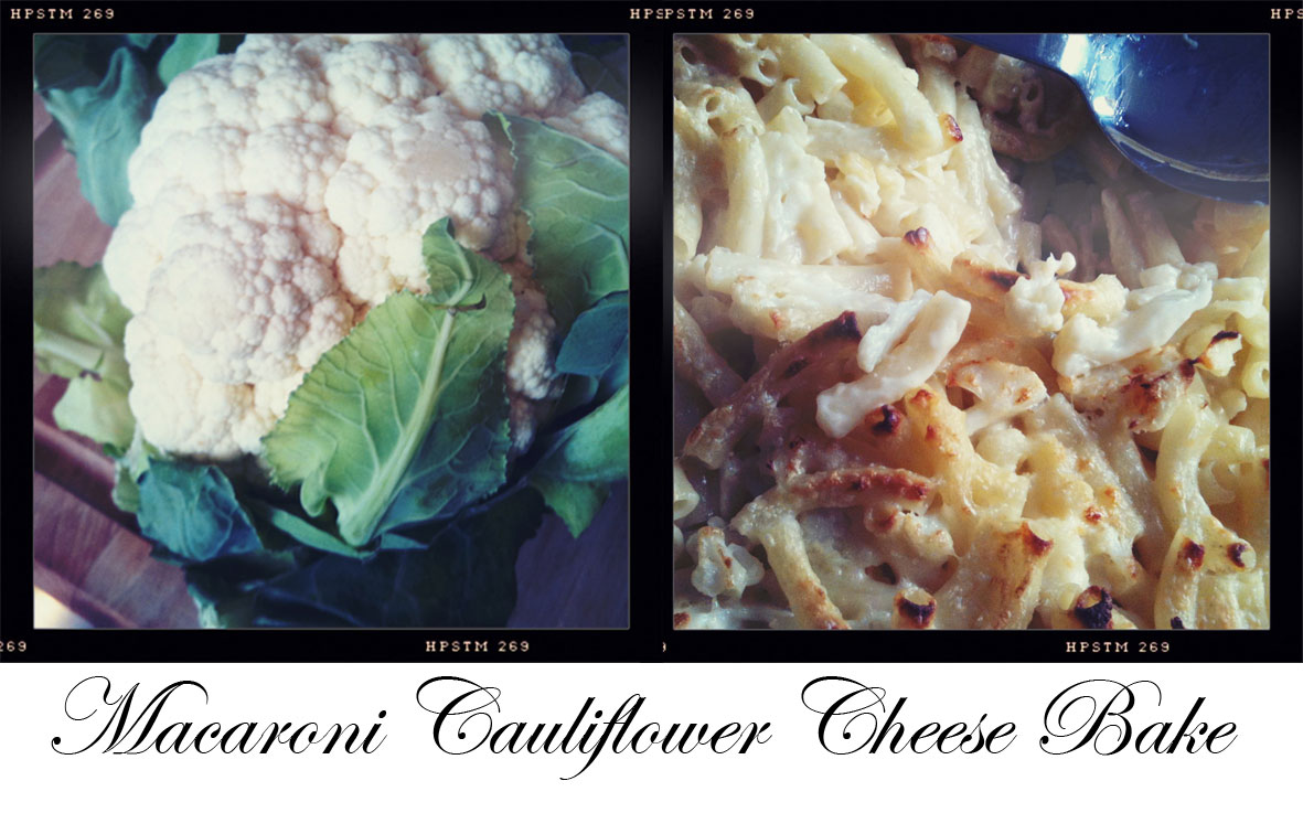 Elma's Kitchen Macaroni Cauliflower Cheese Bake