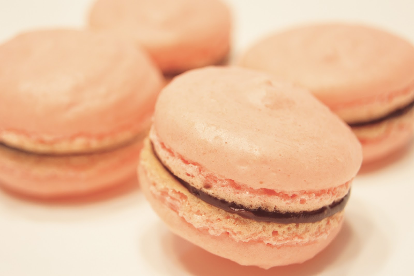 Project Sweet Tooth French Macaron with Black Cherry Chocolate Glaze