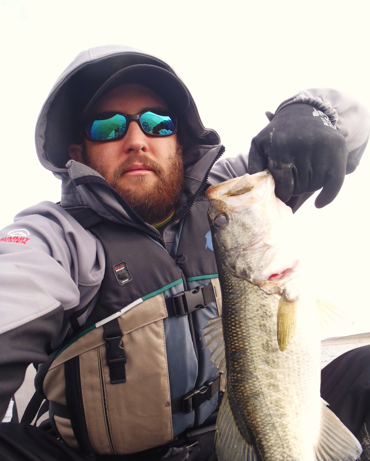 largemouth-bass-in-koi-pond10