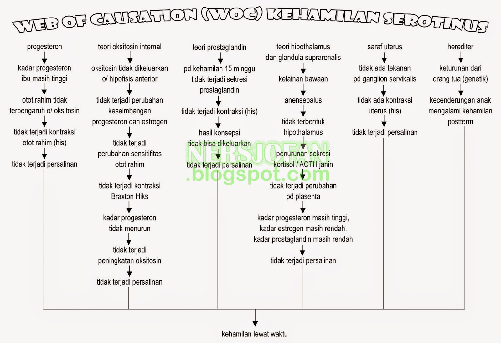 Woc Kehamilan Trimester 3