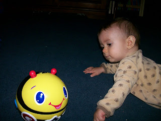 Bright Starts Roll & Chase Bumble Bee